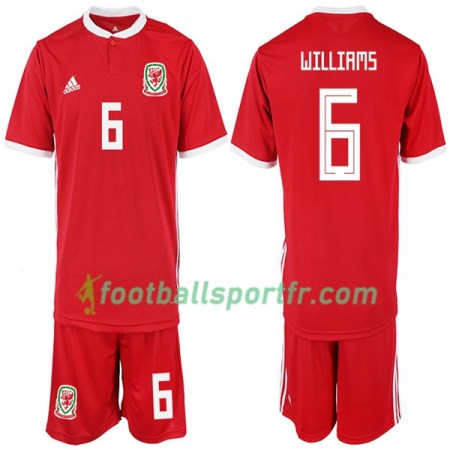 Tenue Pays de Galles WILLIAMS 6 Enfant Domicile 2018-2019 Maillot de Foot